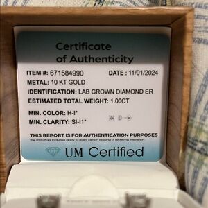 10KT Gold Diamond Earrings